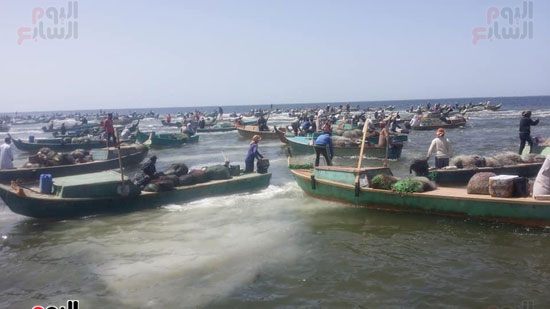 نائب وزير الزراعة ومحافظ شمال سيناء يطلقان موسم الصيد ببحيرة البردويل (1)