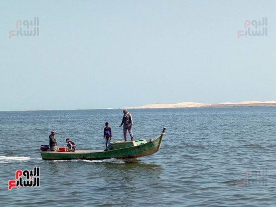 نائب وزير الزراعة ومحافظ شمال سيناء يطلقان موسم الصيد ببحيرة البردويل (6)