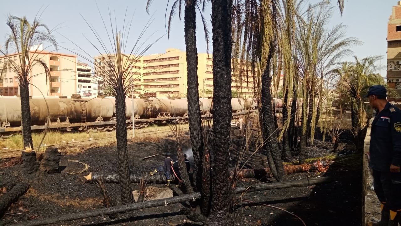 السيطرة على حريق بالقرب من حوش الفرز  (2)