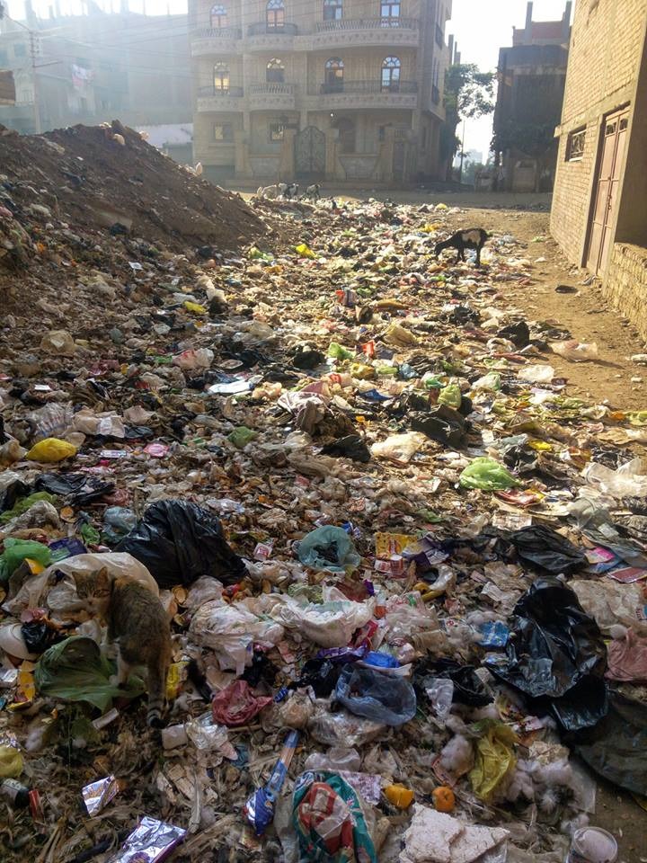 انتشار القمامة بإحدى قرى المنوفية