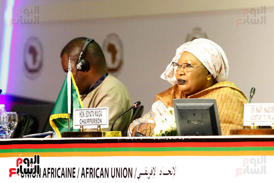 اجتماع اللجنة الافريقية للحقوق الانسان  (19)
