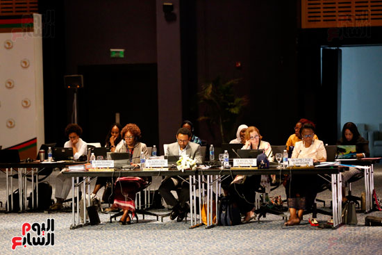 اجتماع اللجنة الافريقية للحقوق الانسان  (20)