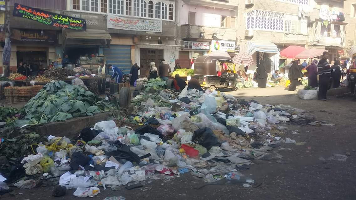 انتشار القمامة والمخلفات بشوارع المحلة (6)