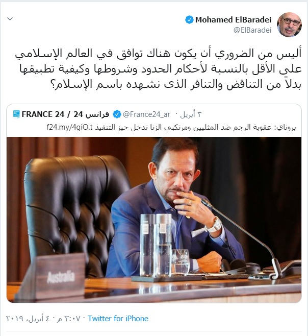 محمد البراداعى محمد البراداعى