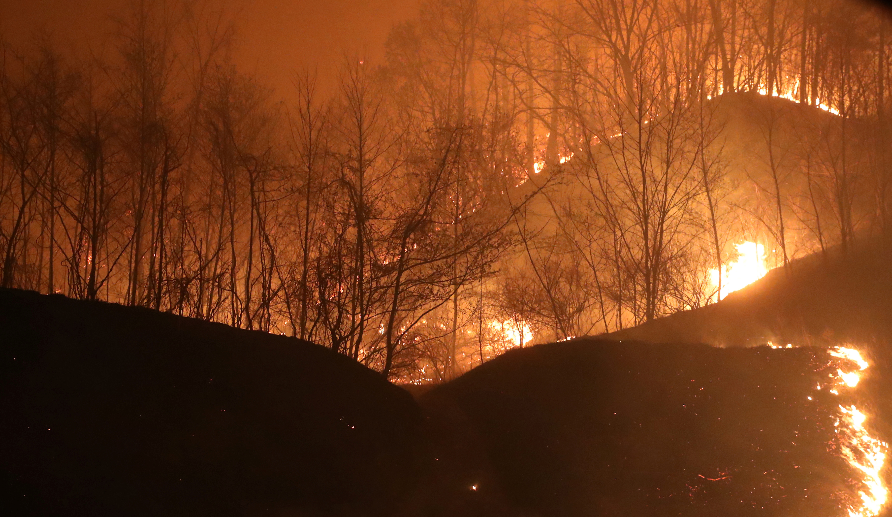 حريق هائل فى شمال كوريا الجنوبية (3)