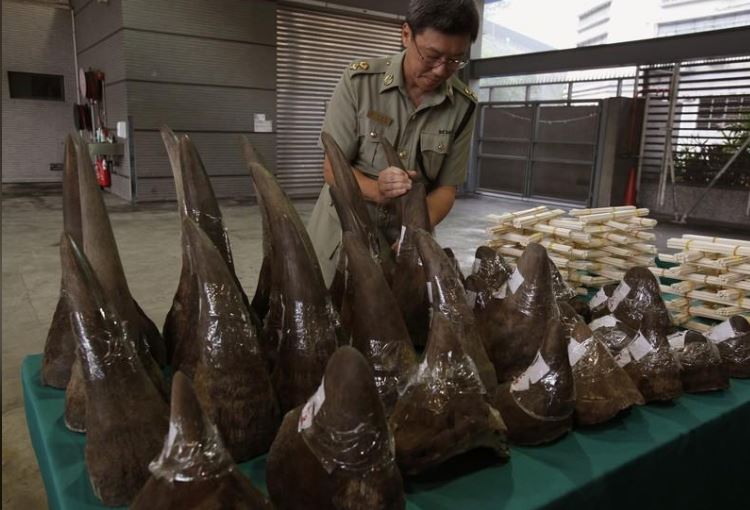 سلطات هونج كونج تضبط شحنة من قرون وحيد القرن