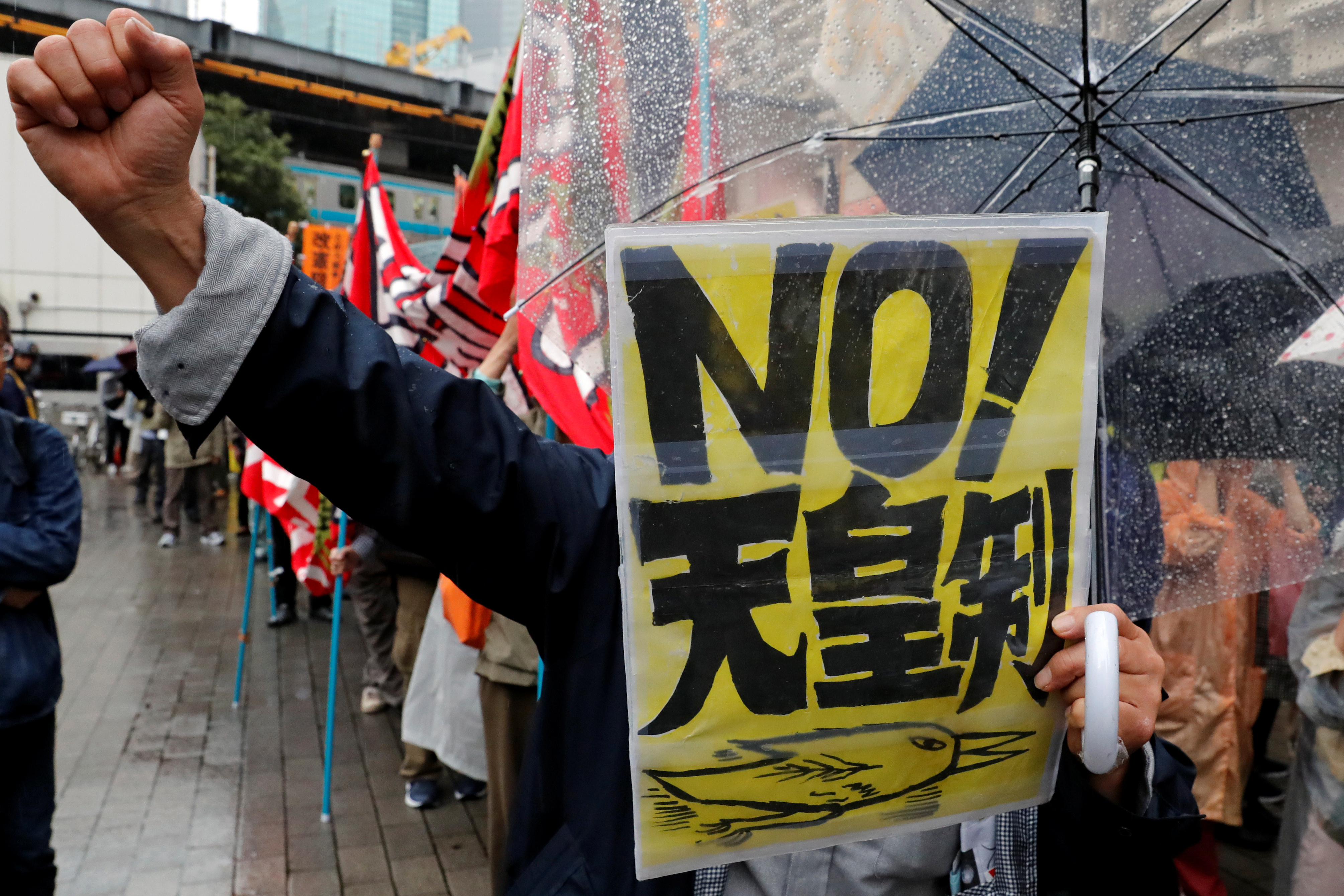 مسيرة ضد النظام الإمبراطورى باليابان (4)