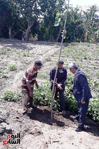 مبادرة جديدة لزراعة نصف مليون شجرة بلوط على حواف الترع بالدقهلية (16)