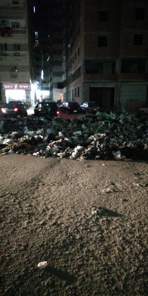 القمامة بشارع التروللى فى المطرية  (2)