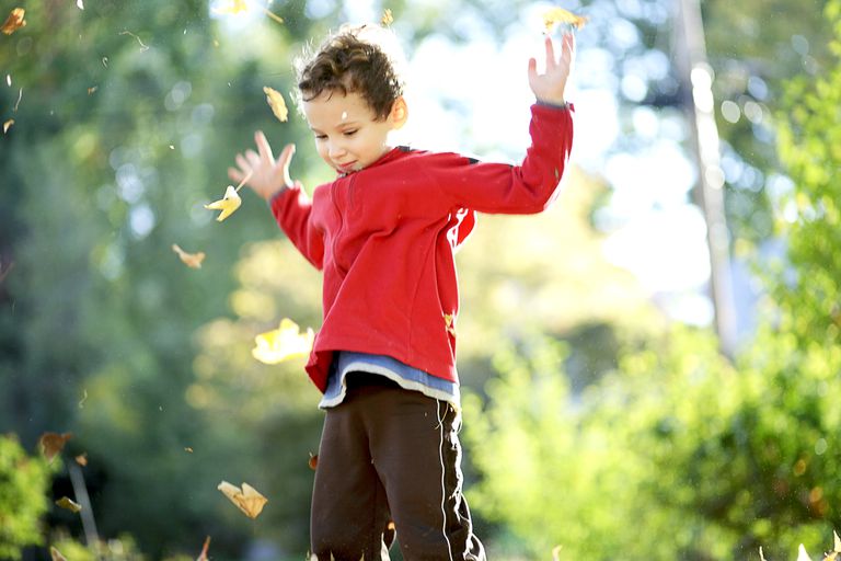 child-tossing-autumn-leaves-into-the-air-492814440-bb8d30fa4fc345bba2cd1d0831316289