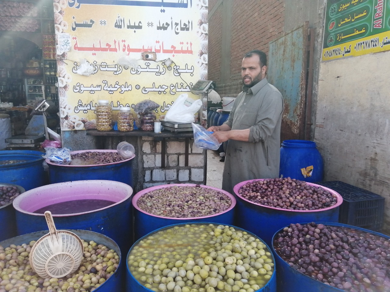لح وزيتون مطروح يزين معظم الموائد المصرية خلال شهر رمضان (1)