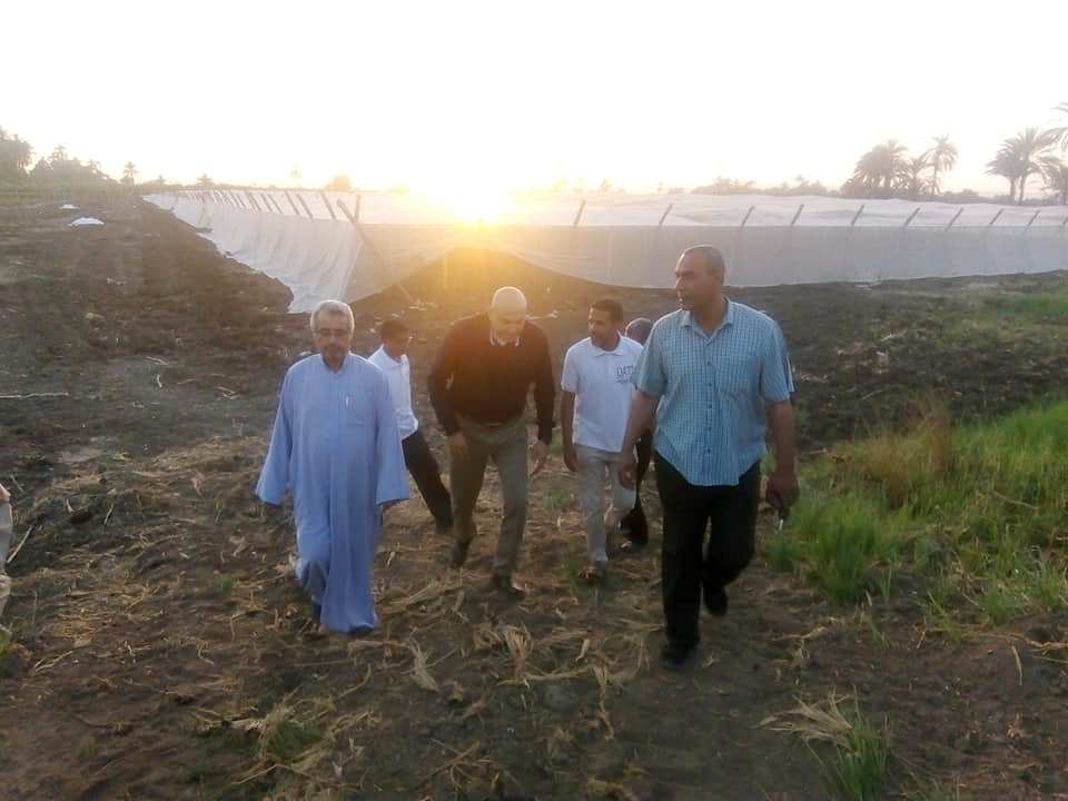 رئيس مدينة الطود يتابع العمل بمشروع الصوب الزراعية بمساحة 25 فدان لدعم شباب الأقصر (13)