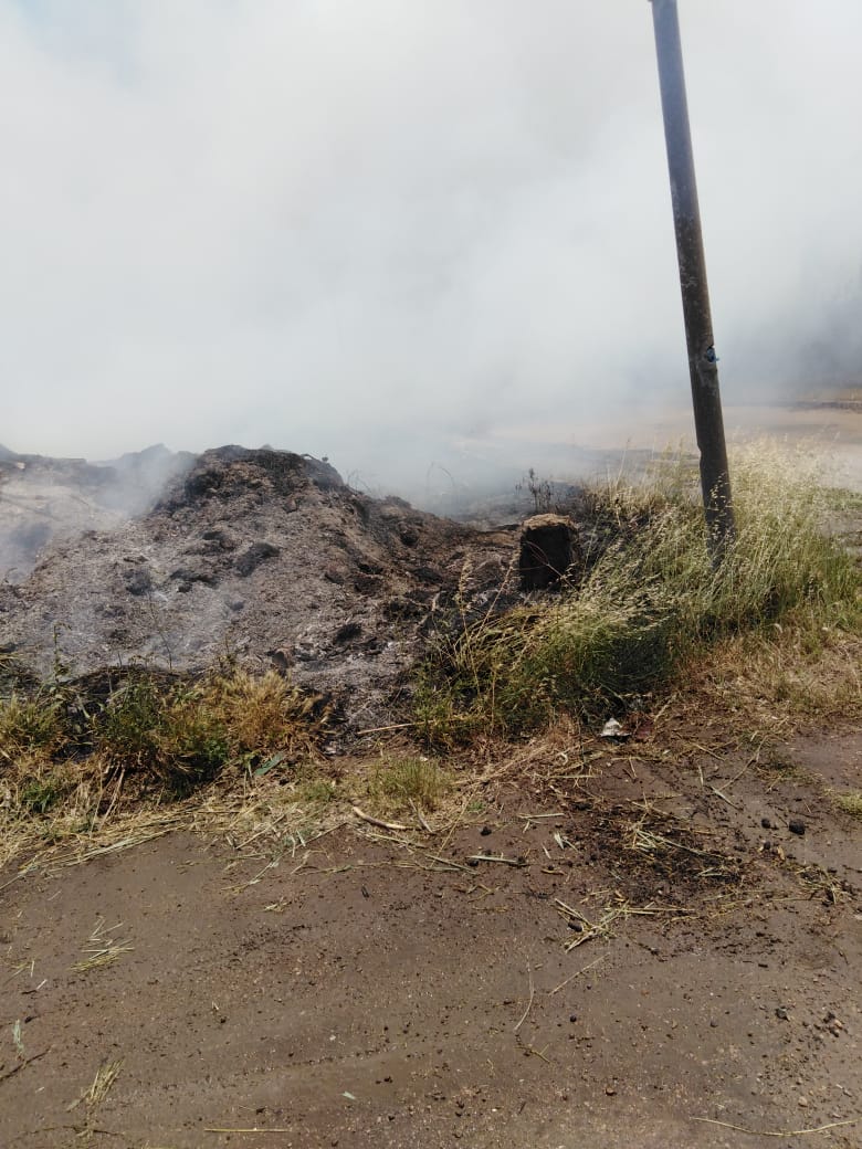 إصابة 17 شخص بالاختناق بسبب اندلاع حريق بمخلفات زراعية (4)