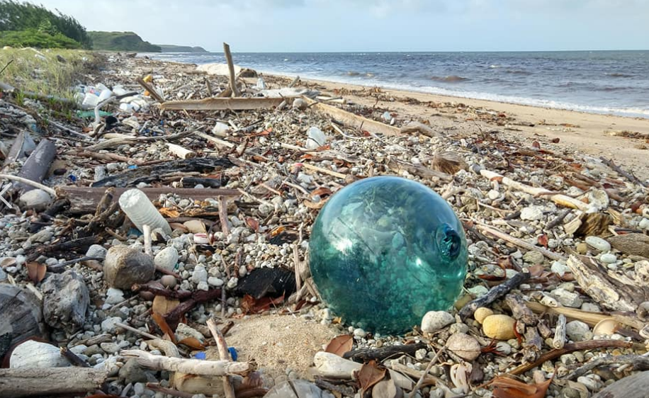 الشواطئ المذهلة فى بريطانيا تتحول إلى مرتعا للقمامة وعلب الغازات السامة (4)