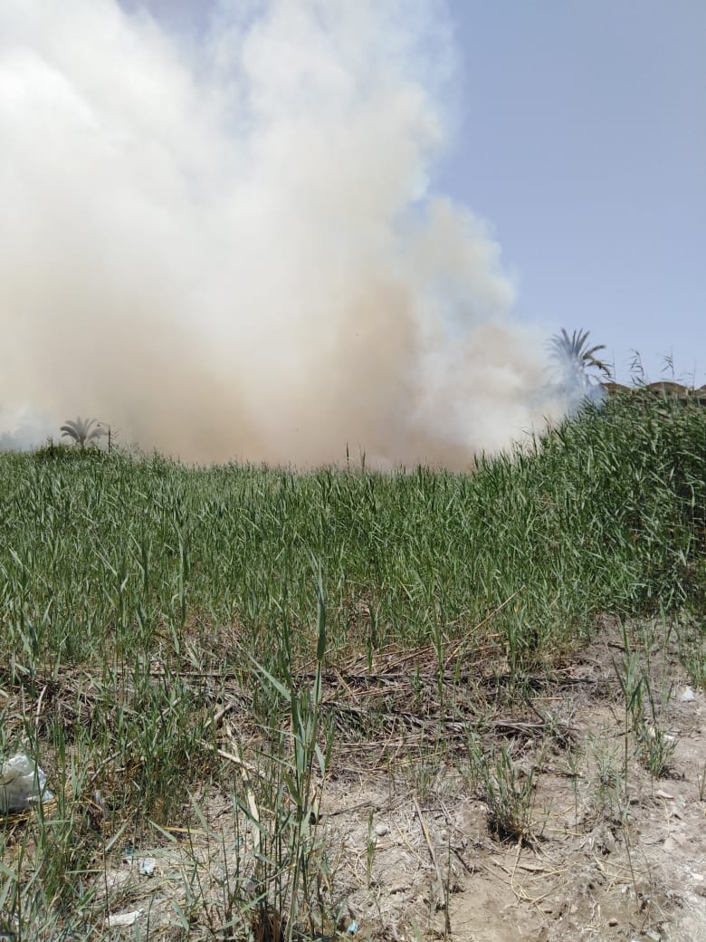 إصابة 17 شخص بالاختناق بسبب اندلاع حريق بمخلفات زراعية (1)