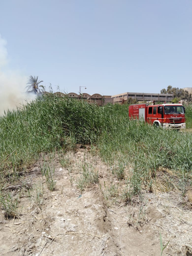 إصابة 17 شخص بالاختناق بسبب اندلاع حريق بمخلفات زراعية (3)