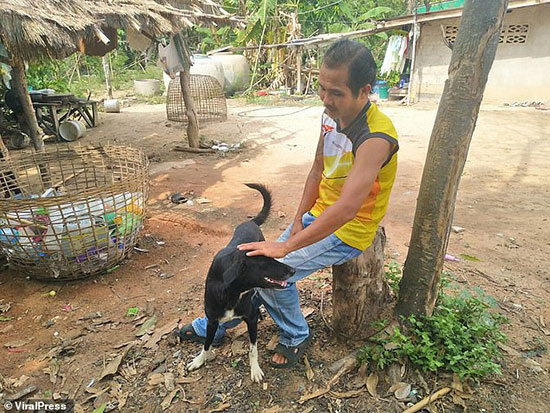 الكلب وصاحبه بعد إنقاذ الطفل فى تايلاند