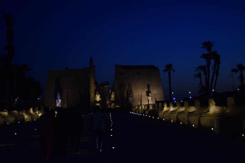 شاهد سحر طريق الكباش الفرعوني ليلاً بالأقصر (7)