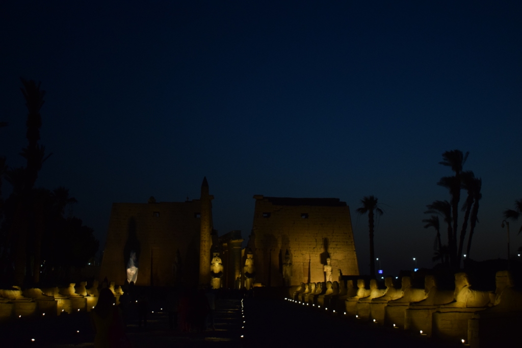 شاهد سحر طريق الكباش الفرعوني ليلاً بالأقصر (8)