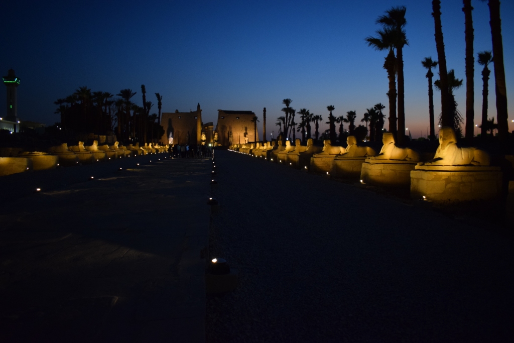 شاهد سحر طريق الكباش الفرعوني ليلاً بالأقصر (6)