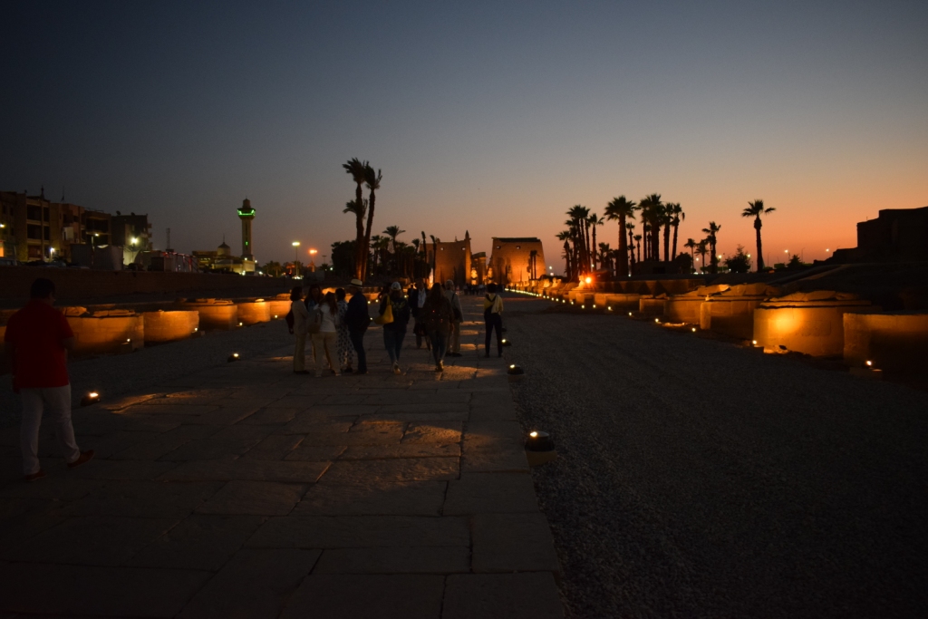 شاهد سحر طريق الكباش الفرعوني ليلاً بالأقصر (3)