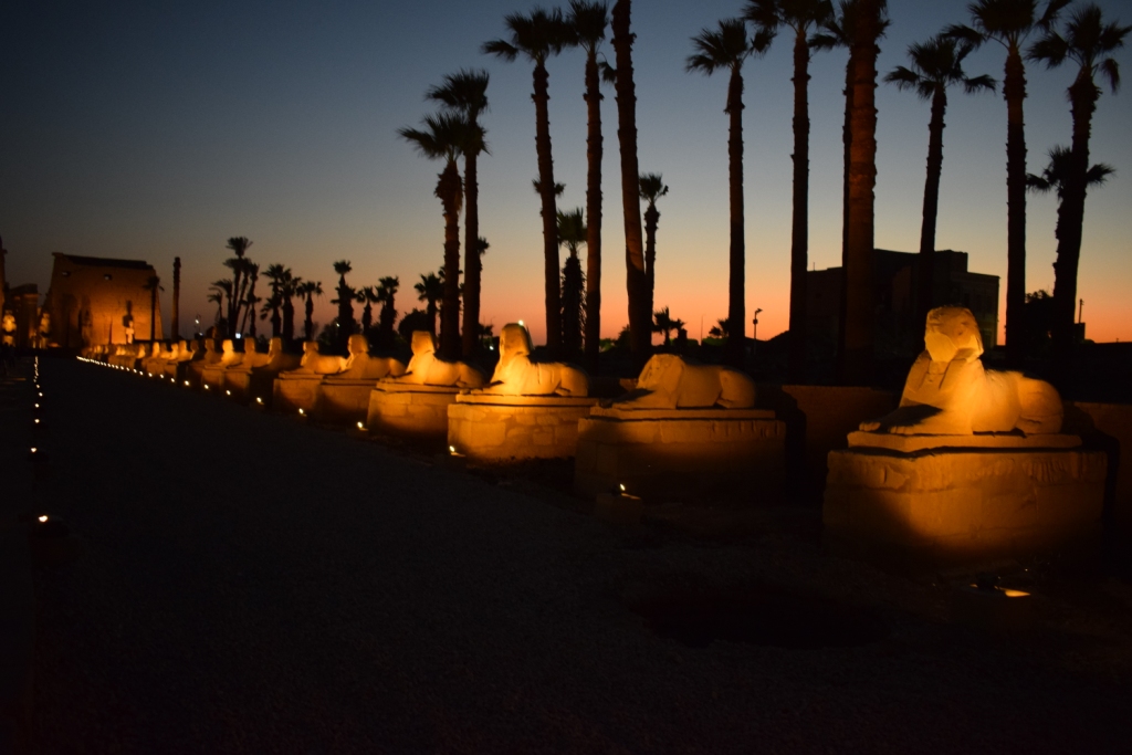 شاهد سحر طريق الكباش الفرعوني ليلاً بالأقصر (4)