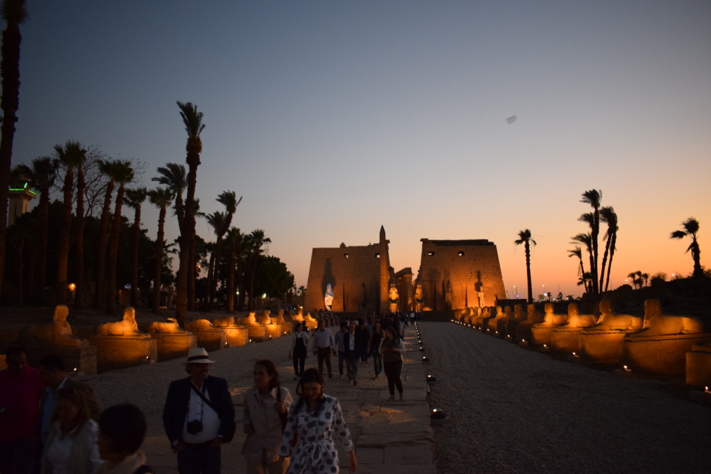 شاهد سحر طريق الكباش الفرعوني ليلاً بالأقصر (1)