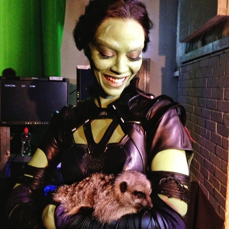زوي سالدانا في كواليس  Guardians of the Galaxy في 2014