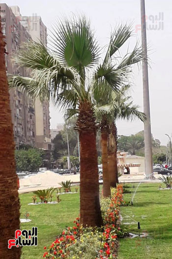 تطوير محيط استاد القاهرة (15)