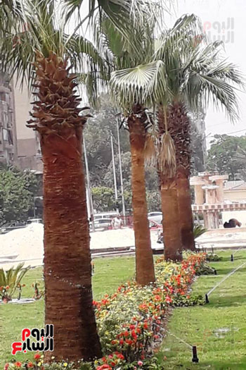 تطوير محيط استاد القاهرة (18)