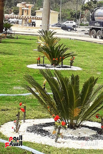 تطوير محيط استاد القاهرة (19)