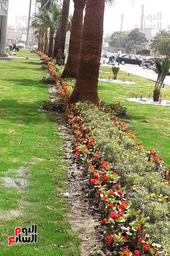 تطوير محيط استاد القاهرة (17)