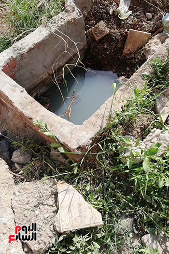 مياه الصرف الصحى تحاصر مستشفى حميات المنصورة (16)