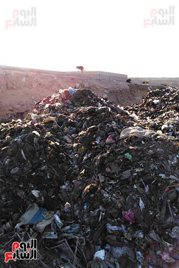 تلال القمامة تحاصر قرية نهطاى بالغربية.. والأهالى يستغيثون (1)