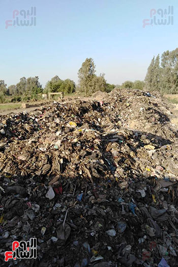 تلال القمامة تحاصر قرية نهطاى بالغربية.. والأهالى يستغيثون (2)