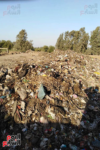 تلال القمامة تحاصر قرية نهطاى بالغربية.. والأهالى يستغيثون (3)