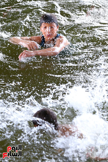 اطفال تهرب من حرارة الجو بالسباحة فى النيل (5)