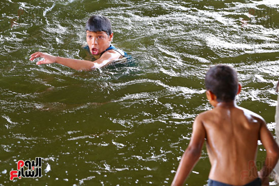 اطفال تهرب من حرارة الجو بالسباحة فى النيل (3)