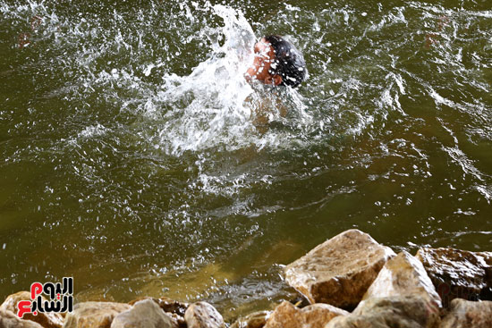 اطفال تهرب من حرارة الجو بالسباحة فى النيل (7)
