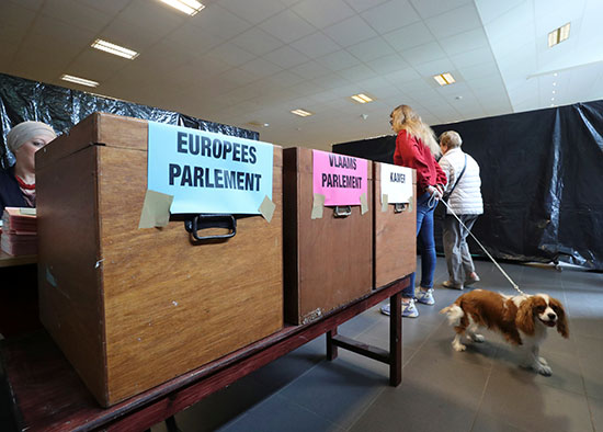 سيدة تصطحب كلبها فى انتخابات البرلمان الأوروبى