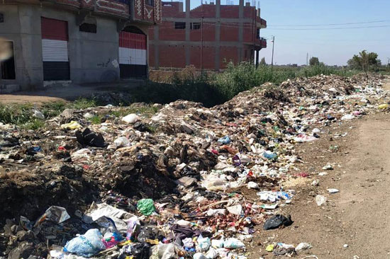  انتشار القمامة بمدخل قرية السد (1)