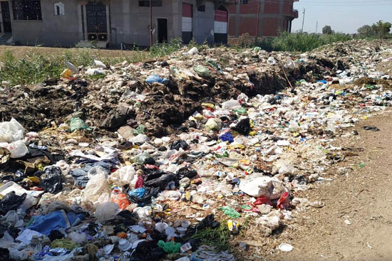  انتشار القمامة بمدخل قرية السد (6)