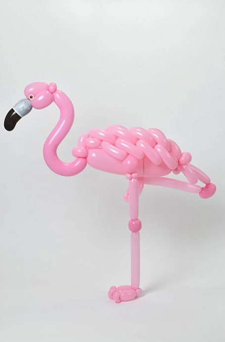 Flamingo

