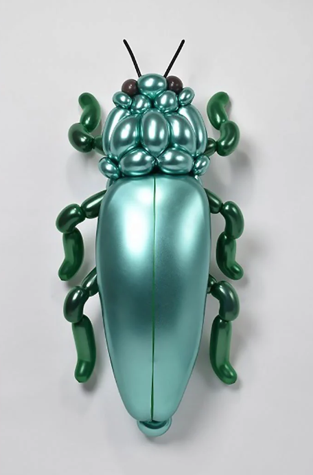 Jewel Beetle

