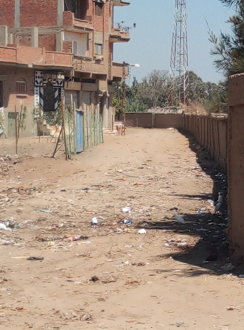 حملة مكبرة لإزالة القمامة من قرية شبرابابل بالمحلة (6)