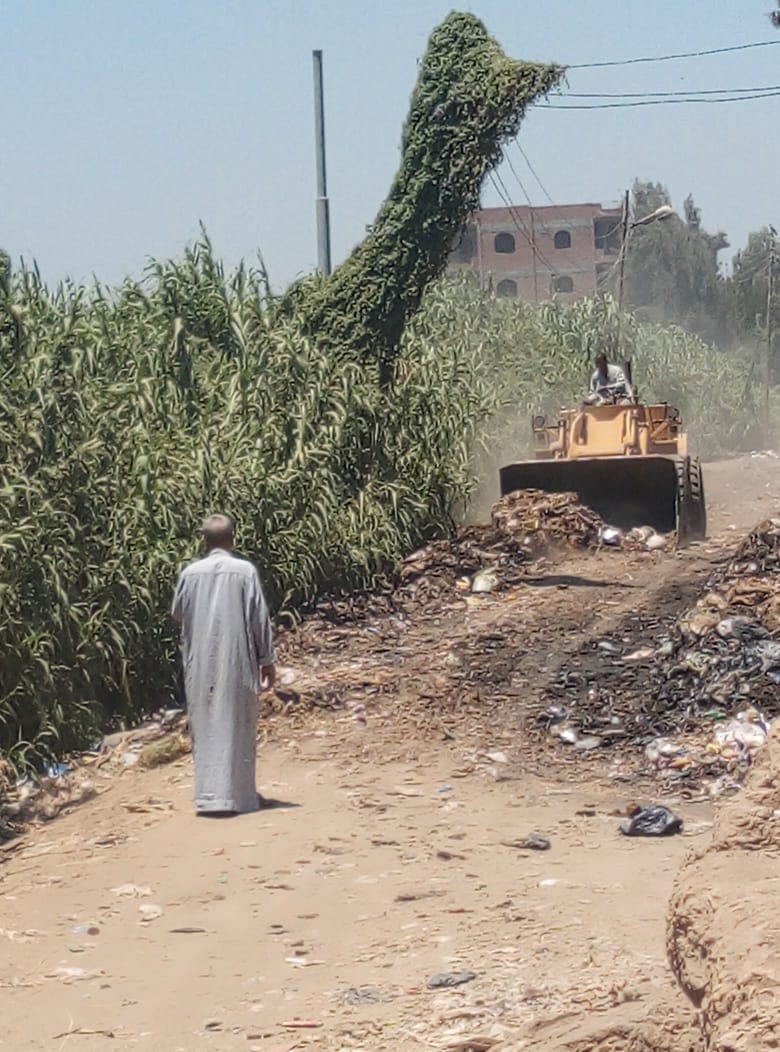 حملة مكبرة لإزالة القمامة من قرية شبرابابل بالمحلة (4)