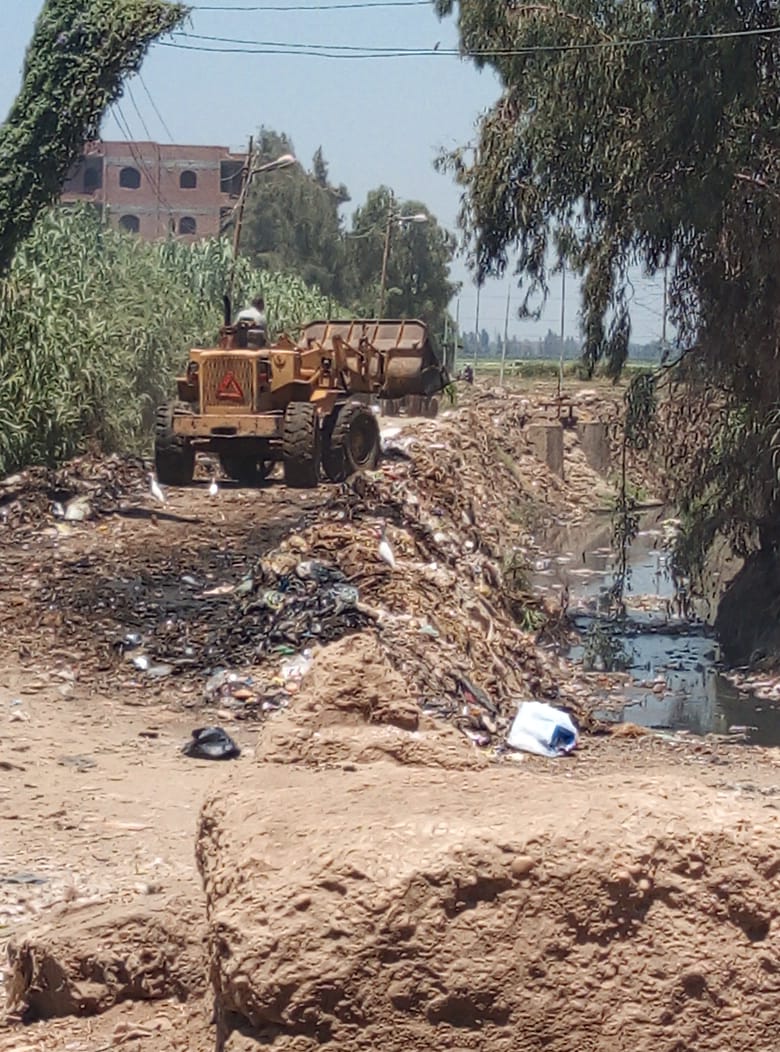 حملة مكبرة لإزالة القمامة من قرية شبرابابل بالمحلة (7)