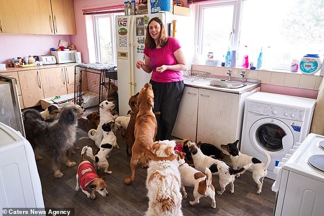 بيكى مع مجموعة من الكلاب