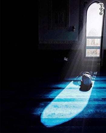 صورة رائعة لمصلى داخل مسجد فى الإمارات