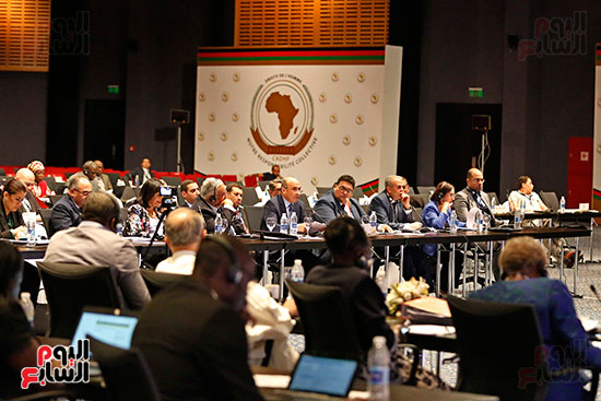اجتماعات اللجنة الأفريقية (22)